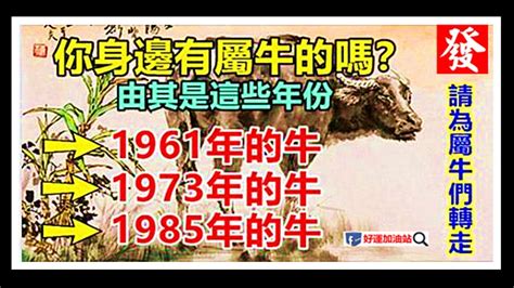 1985金牛|【1985年什麼命】1985年屬牛命運解析：五行屬性與生肖運勢